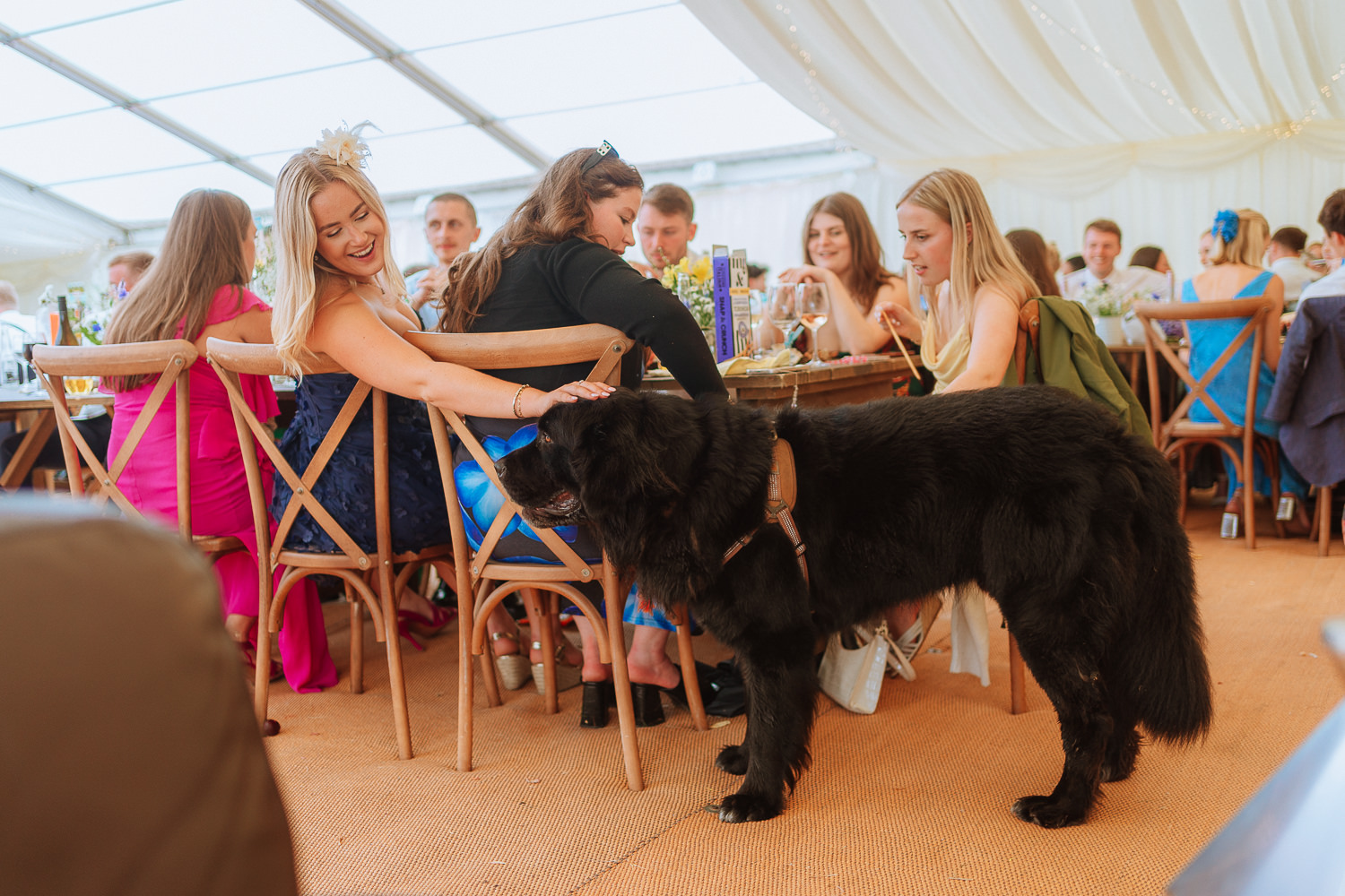 FAMILY HOME FARM WEDDING PHOTOGRAPHY LLANTWIT MAJOR 019