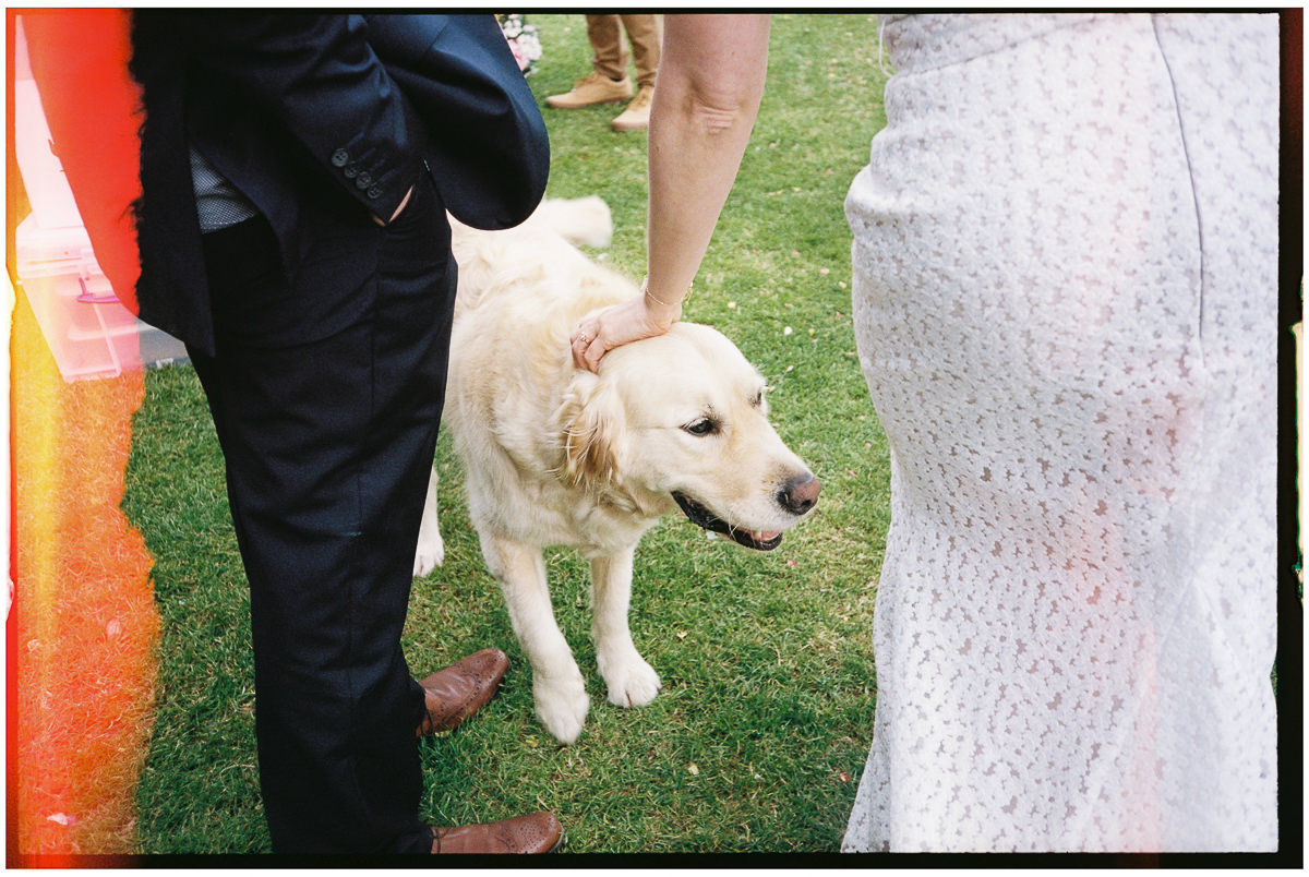 SUGAR LOAF BARN 35MM FILM WEDDING PHOTOGRAPHY UK 056